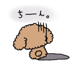 cute toy poodle life sticker #11951500