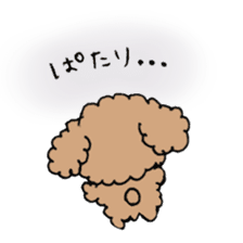 cute toy poodle life sticker #11951501