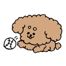 cute toy poodle life sticker #11951502