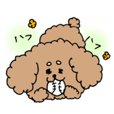 cute toy poodle life sticker #11951503