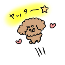 cute toy poodle life sticker #11951504