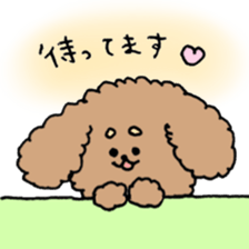 cute toy poodle life sticker #11951506