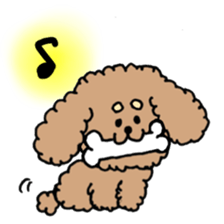 cute toy poodle life sticker #11951507