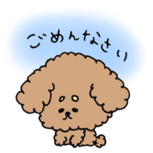 cute toy poodle life sticker #11951508