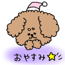 cute toy poodle life sticker #11951509
