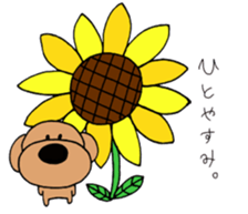 Toypoodle summer sticker #11952295