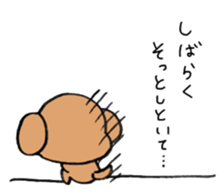 Toypoodle summer sticker #11952307