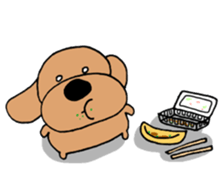 Toypoodle summer sticker #11952312