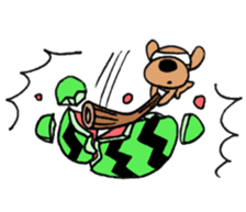 Toypoodle summer sticker #11952323