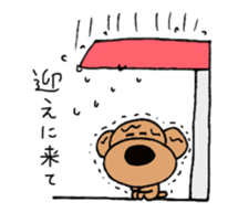 Toypoodle summer sticker #11952329