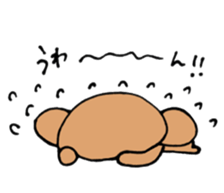 Toypoodle summer sticker #11952330