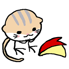 TOBIO of Jerboa