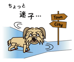 iinu - Pyrenean Sheepdog sticker #11957976