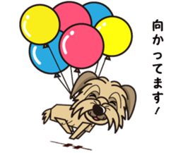 iinu - Pyrenean Sheepdog sticker #11957977