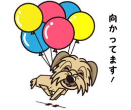 iinu - Pyrenean Sheepdog sticker #11957977