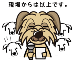 iinu - Pyrenean Sheepdog sticker #11957993