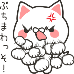 Move! Banshu cat