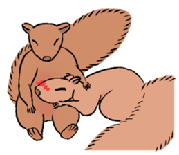 Drunk Squirrel sticker #11961049