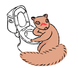 Drunk Squirrel sticker #11961051