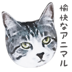 funny animals stickers