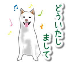 My white dog sticker #11961968