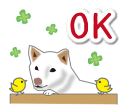 My white dog sticker #11961969