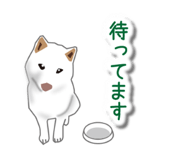 My white dog sticker #11961970