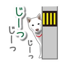 My white dog sticker #11961972