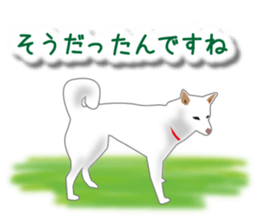 My white dog sticker #11961973