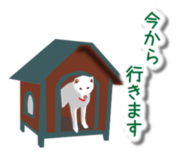 My white dog sticker #11961976