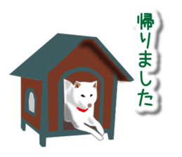 My white dog sticker #11961978