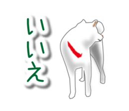 My white dog sticker #11961980