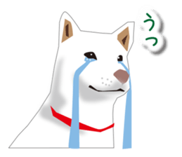 My white dog sticker #11961983