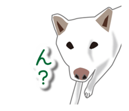 My white dog sticker #11961985