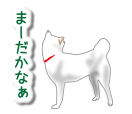 My white dog sticker #11961986