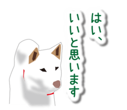 My white dog sticker #11961988