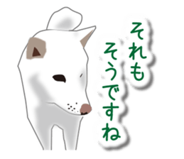 My white dog sticker #11961990