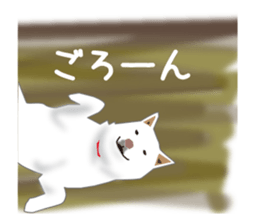 My white dog sticker #11961993