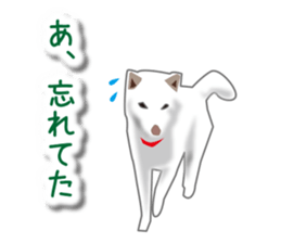 My white dog sticker #11961994