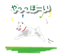 My white dog sticker #11961995