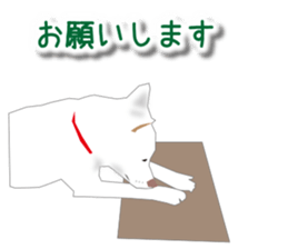 My white dog sticker #11961998