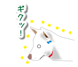 My white dog sticker #11962003