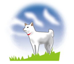 My white dog sticker #11962004