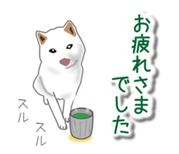 My white dog sticker #11962005