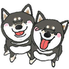 Midget Shiba MagRob and friends 7