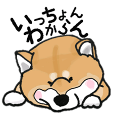 Midget Shiba MagRob and friends 7 sticker #11962688