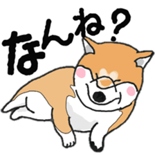 Midget Shiba MagRob and friends 7 sticker #11962690