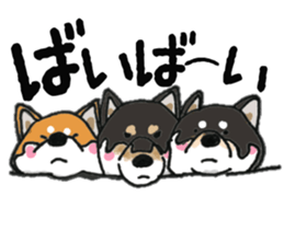 Midget Shiba MagRob and friends 7 sticker #11962691