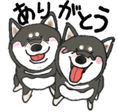 Midget Shiba MagRob and friends 7 sticker #11962693