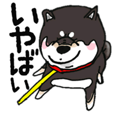Midget Shiba MagRob and friends 7 sticker #11962694